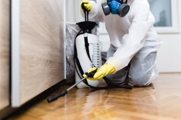 Best Ant Control Services  in Orange City, FL