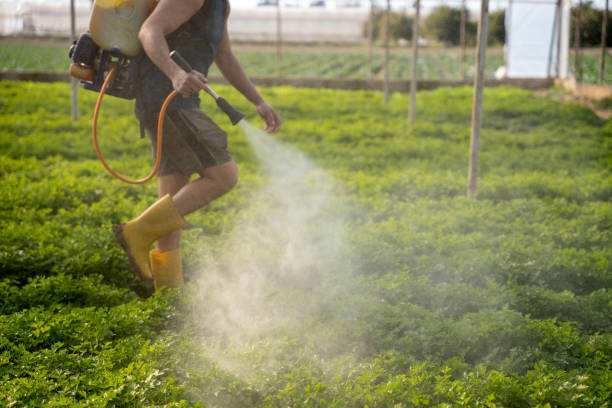 Best Affordable Pest Control Services  in Orange City, FL