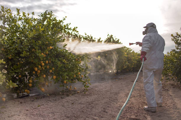 Best Wasp Removal Services  in Orange City, FL