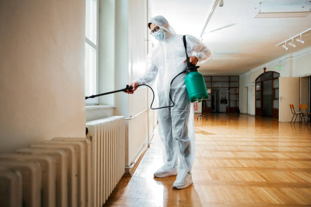 Best Insect Control  in Orange City, FL